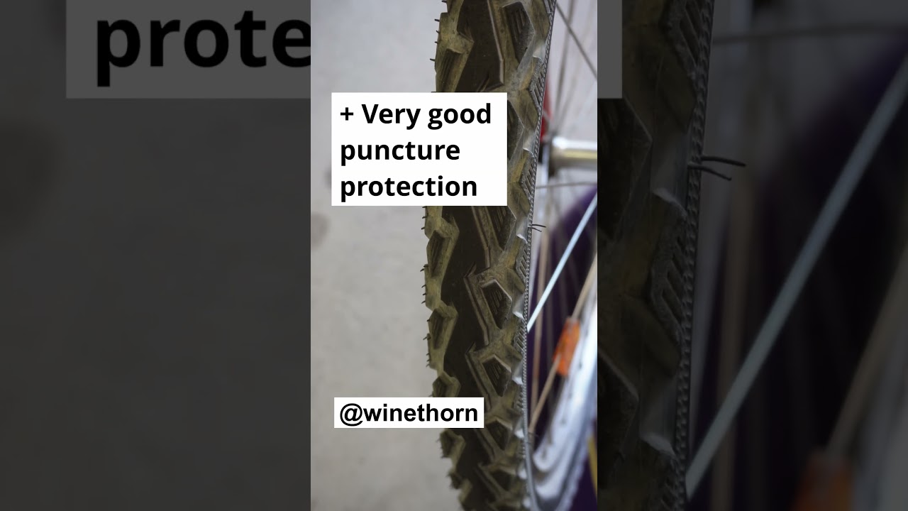 Schwalbe Land Cruiser Review (1000km) 