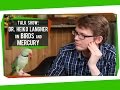 SciShow Talk Show: Dr. Heiko Langner on Birds and Bioaccumulation