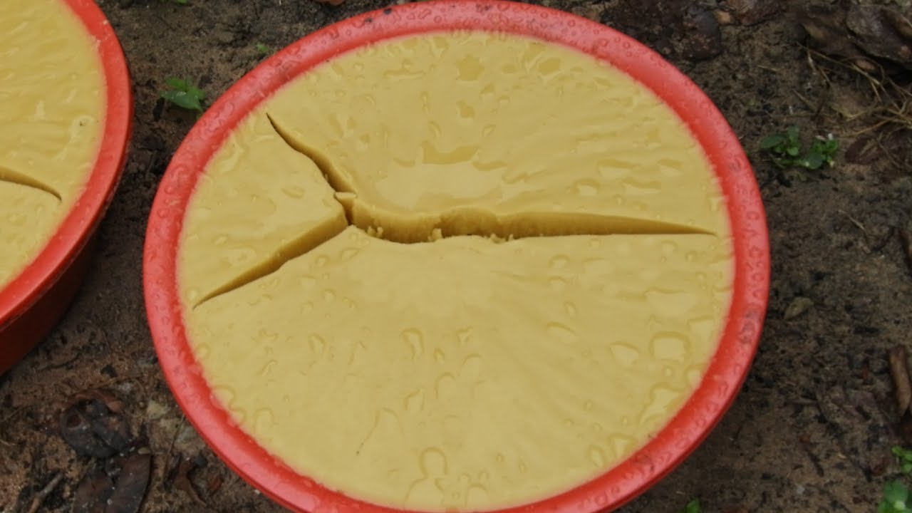 How to increase quality of beeswax by natural method