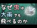 虫が大雨の中でも飛べる理由【ざっくり解説】