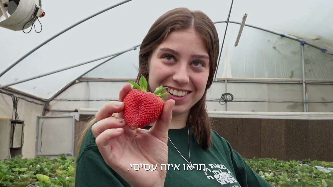 שינשינים - נווה הדסה - דוקויאנג 2024