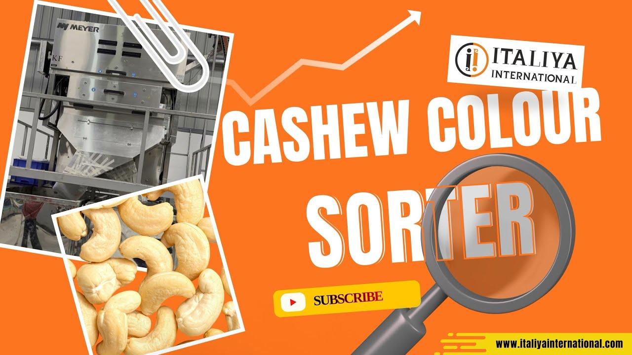 🌰 Italiya international advanced cashew color sorter machine 🌰