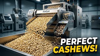 🌰 Italiya international advanced cashew color sorter machine 🌰