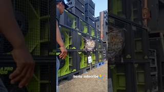 Ar   Fabulus X Parathel