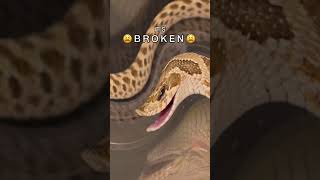 Oh No Our Table Its Broken