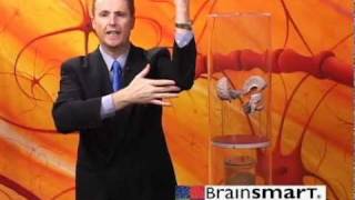 Celebrity Welcome Video & Brain Based Teaching Fact #1 Net Worth
