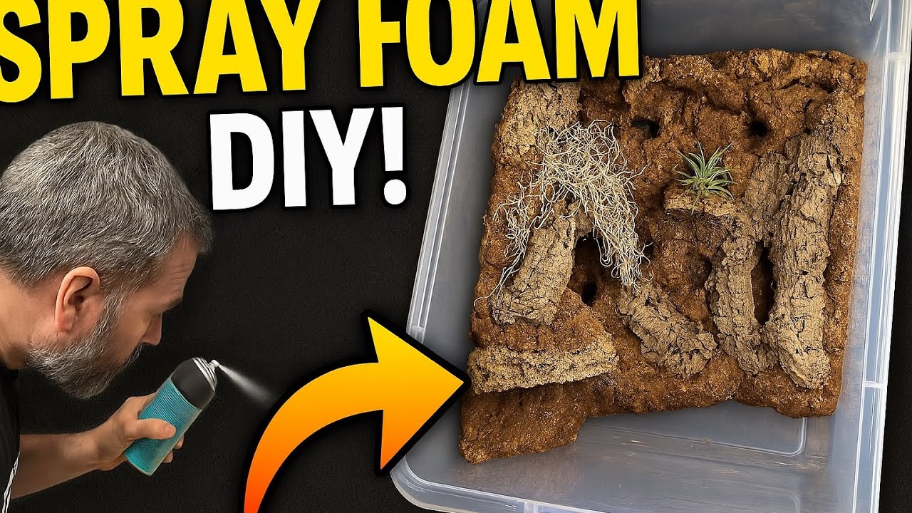 Spray Foam Magic! DIY BAll Python Background on a budget (TOTE HACK ...