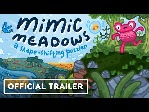 The Madiopolis Leak: Bigger Than You Think