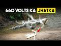 Most Dangerous Animals Of Amazon Forest | Amazon Mysteries