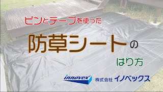 公式 防草シート専用ハンマー 各種シート等を設置の際、ピンを打ち込む