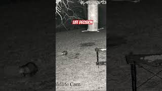 POV: The Deer Block Is Haunted Again!