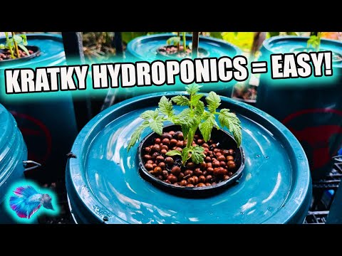 KRATKY HYDROPONICS -