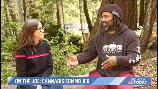 NBC TODAY Show: An Inside Look at the Ganjier Cannabis Sommelier Program / Ganjier