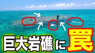 巨大岩礁に罠を張って魚を囲い込む！【久高島漁入門遠征#1】