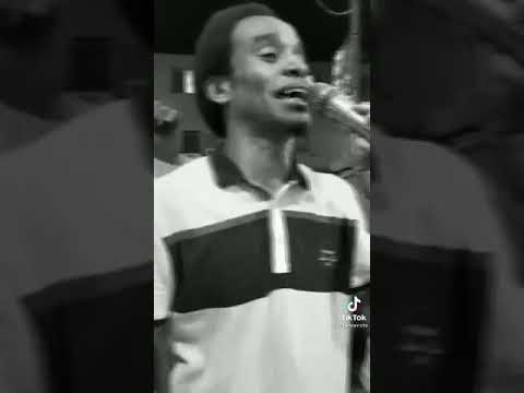 الرايق حسن ابو العلا