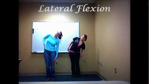 OTA Movement in Context Video Project