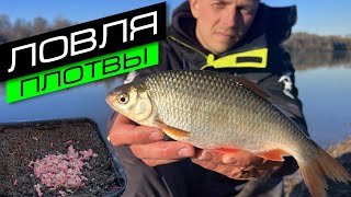 ЛОВЛЯ ПЛОТВЫ НА ФИДЕР / ПЛОТВА В ОКТЯБРЕ / FROS FISHING