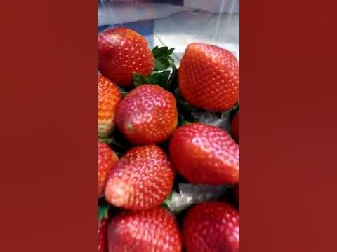 Хаппи,хаппи,хаппи! - YouTube