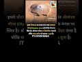 Mars का सबसे ऊँचा पर्वत Olympus Mons | Mount Everest से 3 गुना बड़ा! 😲#itsgyanibaba #facts #amazing
