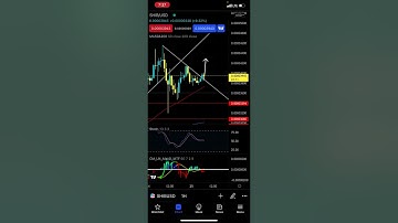 Ethereum Whales are Buying ALL the SHIBA INU to Make it Run - Patreon.com/butimnotatrader