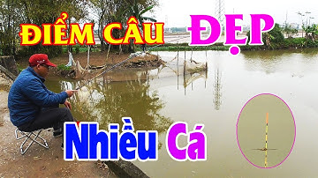 Tìm Được Điểm Câu Đẹp, Rất Nhiều Cá | Cá Quấn Ổ, Giật Cháy Nách