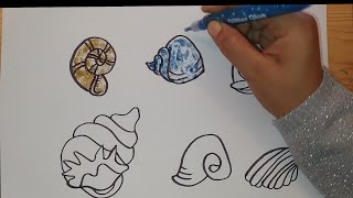 رسم اصداف البحر//Drawing seashells