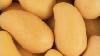 How To Pick Out PERFECT Ataulfo Mangoes! 🥭👑🥭