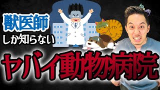 【見極めるポイントはたったつ】良い動物病院とは〇〇〇が同じ病院のことです