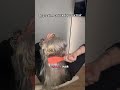 #leaveinconditioner #hairhacks #moisture #hairtok