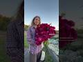 САМЫЕ ШИКАРНЫЕ АСТРЫ