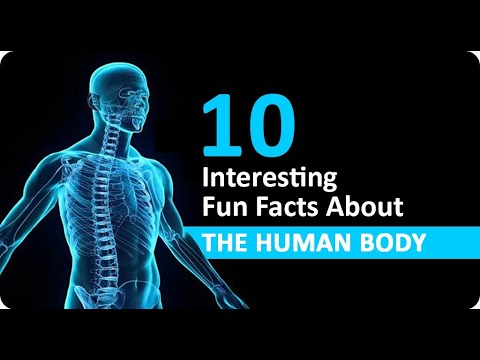 10 Cool human body facts , lesser known facts about the human body ...