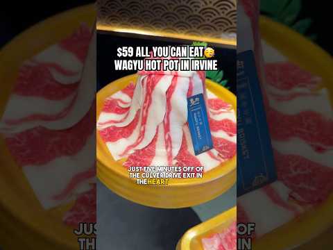 59 ALL YOU CAN EAT WAGYU HOT POT IN IRVINE