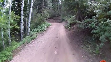 A nice quiet Sunday afternoon