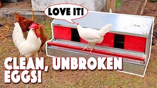 Roll Out Nest Boxes For Chickens! Saves Eggs | Hengear by Country Living Experience: A Homesteading Journey 2,529 views 1 month ago 5 minutes, 1 second