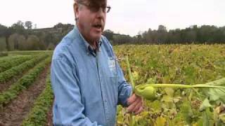 Jones Family Farms
