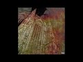 Suavio - Need Her (2022) [Official Audio]