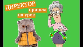 Зачем директор пришла на урок английского языка? В классе новенький! / Школа Басиков /