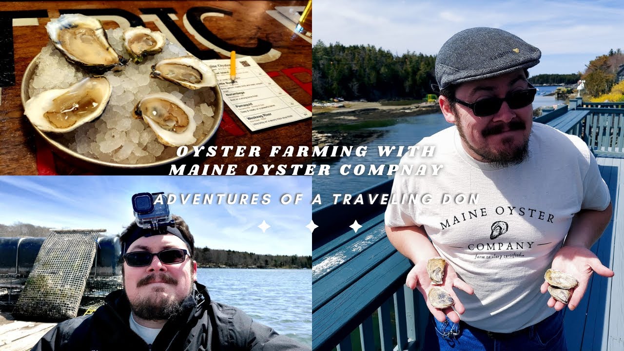 Farming Oysters with Maine Oyster Company | Maine Coastal Foraging