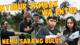 NEMU SARANG BULUS & BELUT DI TAMBAK DEDE INOEN CIANJUR | DISINI BULUS ADALAH HAMA !!!