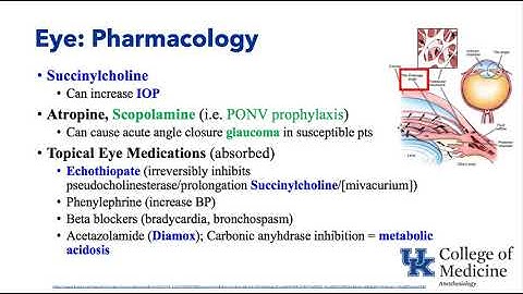Anesthesiology Keyword Review - Eyes & Anesthesia - (Dr. Schell)
