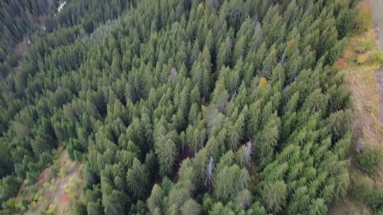 4K Scenic Aerial view Mountain Drone Video Footage over Gela Village, Rhodope Mountains, Bulgaria 