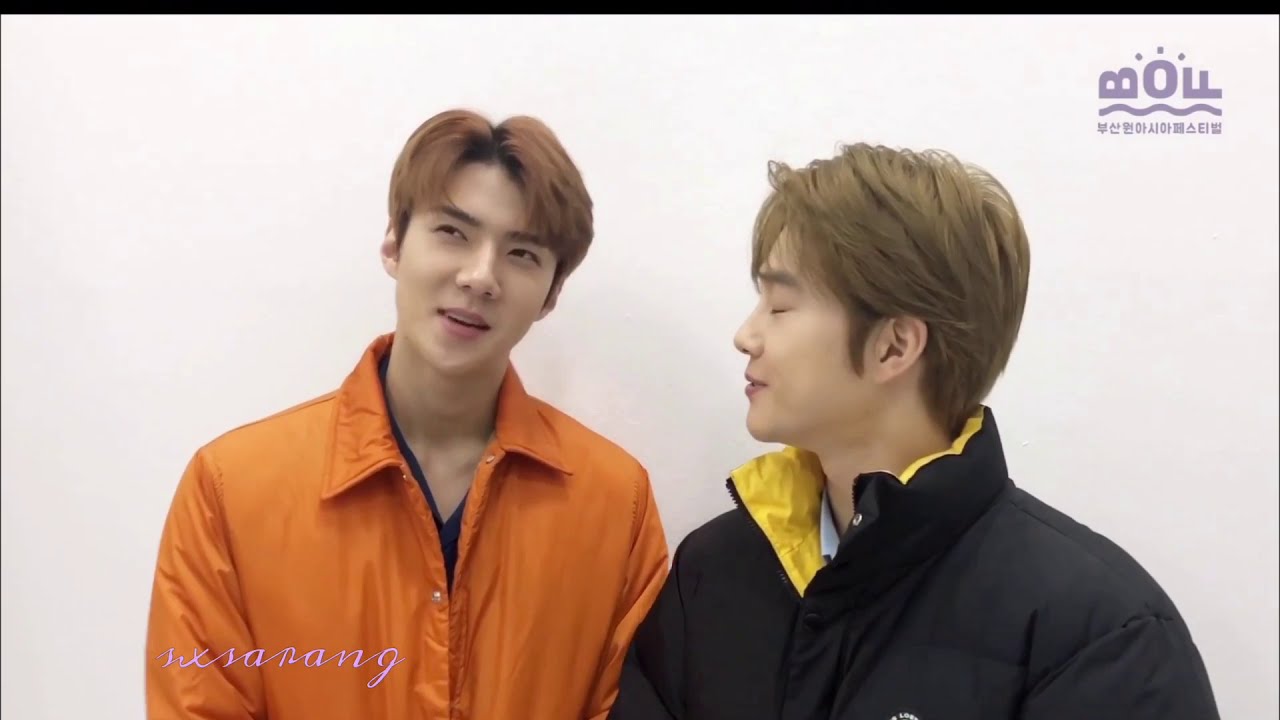 SeHo / HunHo Moments #7 | Falling For You