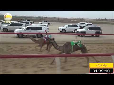 الشوط 9 الشاهينية ل حميد مطوع الظاهري شارة الصندوق السبت 2019 04 13 الوثبة فطامين