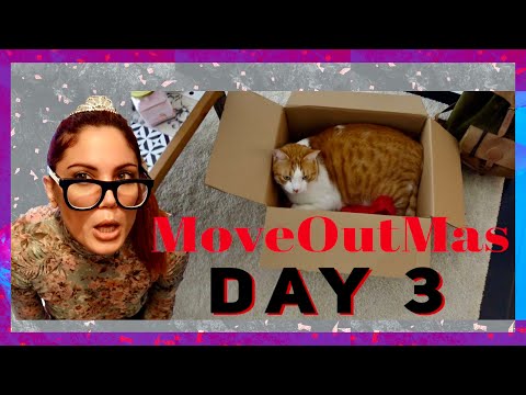 MoveOutMas [2] -