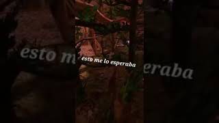 Los mejores noops de gorilla tag