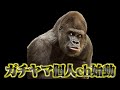 ガチヤマ遂に個人チャンネル開設しました！！！