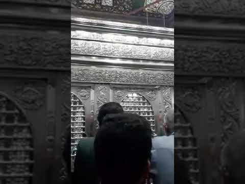 سوداني يمدح النبي داخل الروضة