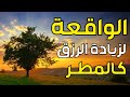 سورة الواقعة لجلب الرزق وراحة القلب كالمطر بصوت رائع Surah Al Waqiah سورة الواقعة لجلب الرزق وراحة القلب كالمطر بصوت رائع Surah Al Waqiah