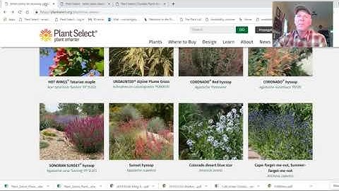 Export Plant Select plants to excel with maintenance schedules