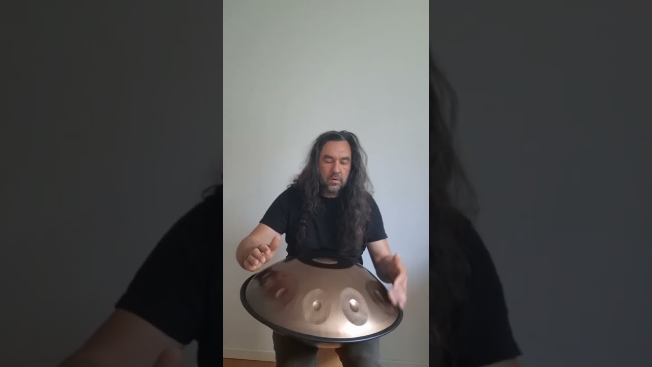 Handpan Baur&Brown D-Moll mit Botton Notes